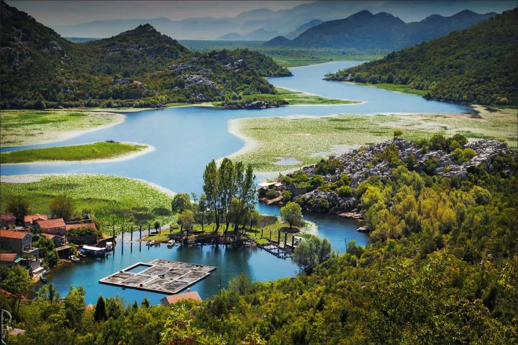 Skadar Lake: Untouched Nature, Peace for the Soul